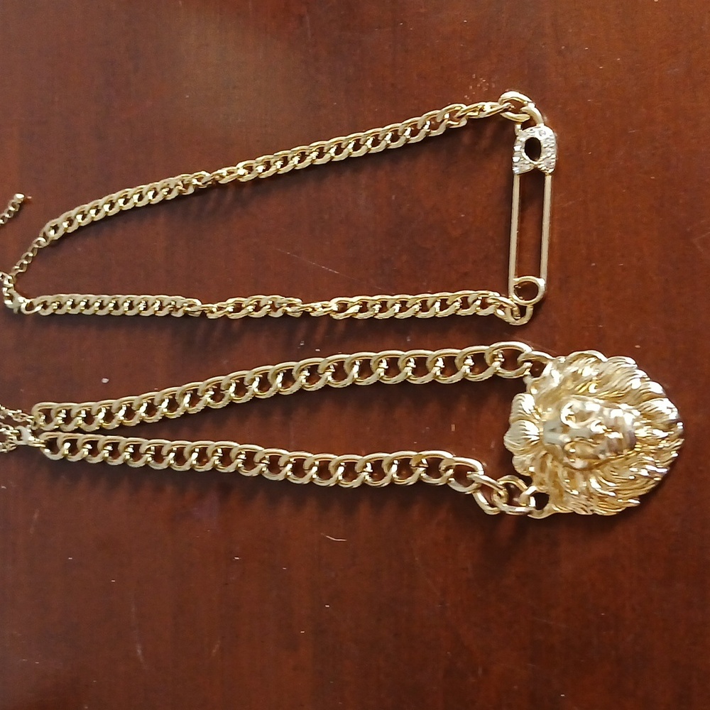 Costume Jewelry Necklaces Lion Design and Bobby Pin Design
